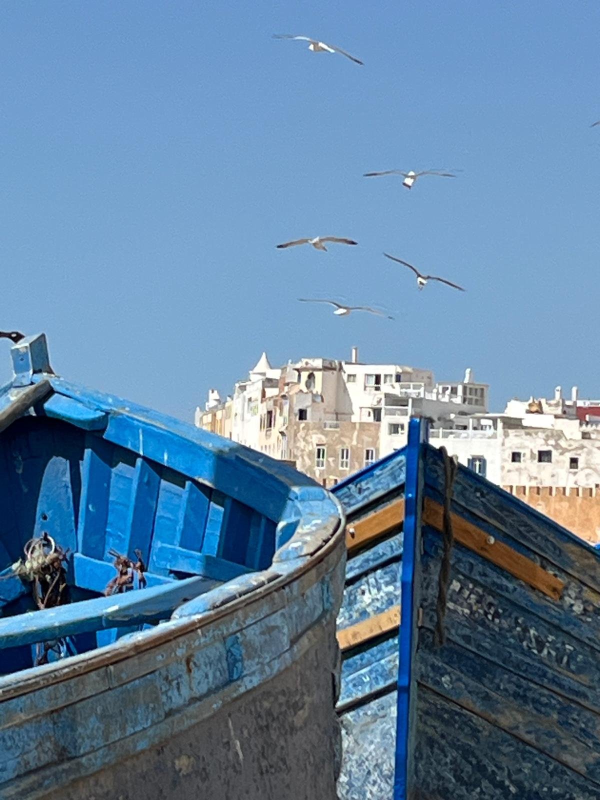 WhatsApp Image 2025-10-29 at 14.51.41